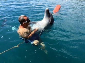(Özel Haber) Yunus Tom, Kızkumu Sahilinde Bitkin Halde Bulundu