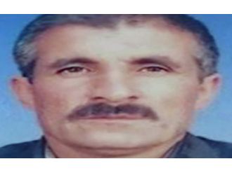 Ayı Saldırısında Hayatını Kaybetti