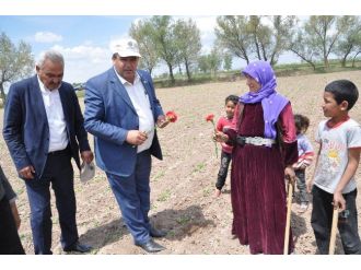 (Özel Haber) Aksaray’da Çiftçilere Karanfilli Kutlama
