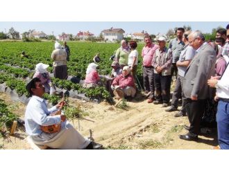 (Özel Haber) Vekil Adayına Sazlı Sözlü Nasihat