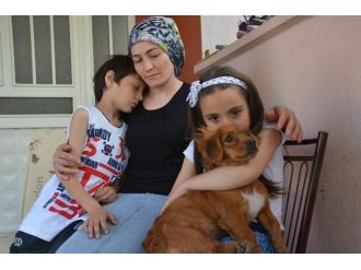 Minik Betül’ün Hayali Gerçek Oluyor