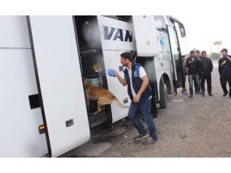 (Özel Haber) Narkotik Polis Köpeği Chaira Uyuşturucu Tacirlerinin Korkulu Rüyası Oldu