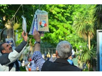 Kocaeli’de Ağaçlar ’Kitap Açtı’