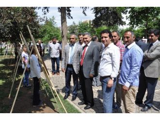 Kızıltepe Çağıl Ortaokulu Öğrencilerinden Resim Sergisi