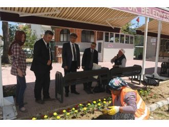 Bozüyük Çiçeklerle Renkleniyor