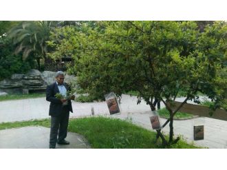 Dilovası’nda Ağaçlar Kitap Açtı