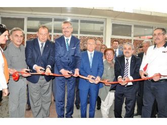 ‘Türkiye’nin Tüm Kuşları’ Karacabey’de Sergileniyor