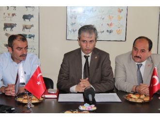 Veterinerler Canlı Hayvan İthalatından Rahatsız