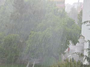 Bir Günlük Yağış 56 mm.