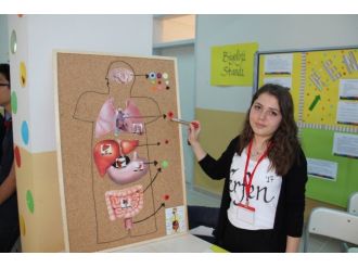 Kdz. Ereğli Fen Lisesi’nde Ki Bilim Şenliğini 500 Öğrenci Gezdi