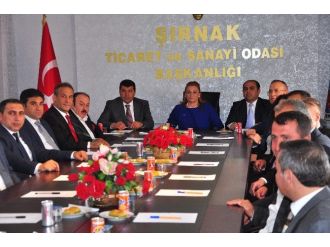 Irak’ın Gaziantep Başkonsolosu Al Bazzaz Şırnak’ta