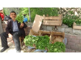 Kulp’ta Fideler Satışa Sunuldu
