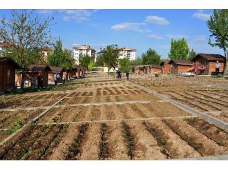 Batıkent Hobi Bahçesi’nde Fide Dağıtımı