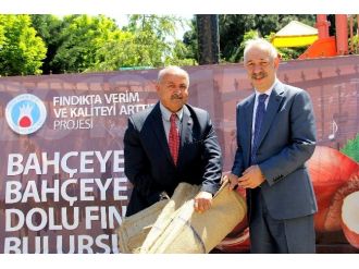 Fındıkta Tek Dal Sistemli Bahçelerin Yaygınlaşması İçin Çalışılıyor