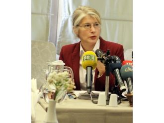 Doğan Görünümlü Şahin...