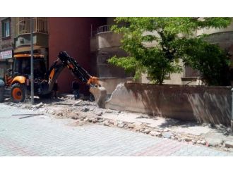 Siirt’te Ağaç Kesilmesine Tepki