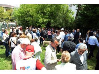 Pati Park’a Hayvansever Akını