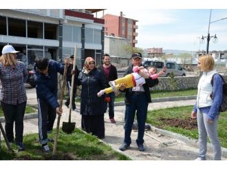Ardahan Belediye Personelinin Fidan Dikim Çalışmaları Devam Ediyor