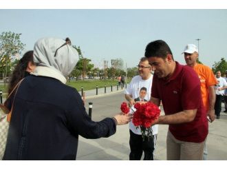 Ak Parti Adayı Boyraz, Maltepe Sahilinde Karanfil Dağıttı