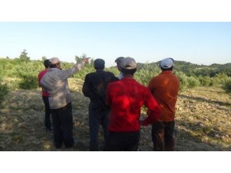 Suriye’ye Ait Hava Aracının Düşürülmesi, Hatay’ın Yayladağı İlçesinden Görüldü