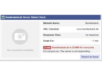 Türk Hackerler Alman Gizli Servisini Çökertti