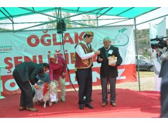 Kızılcahamam’da 1. Oğlak Şenliği Yapıldı