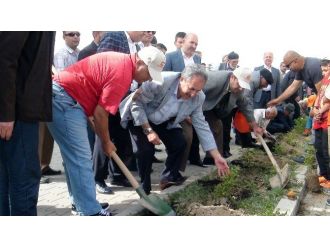 Akşehir Belediyesi’nden Ağaç Dikme Etkinilği