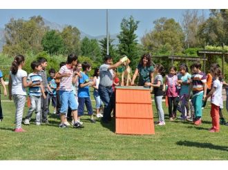 Öğrenciler, Sokak Hayvanları Bakımevini Gezdi