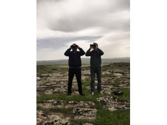 Nesli Tükenmekte Olan Toy Kuşlarının Üreme Alanları Denetlendi