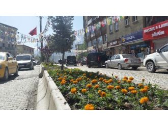 Hakkari Belediyesi’nden Yeşillendirme Çalışması