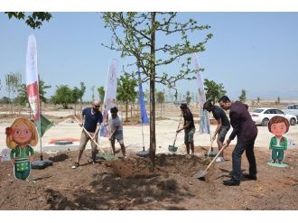 Expo 2016’ya Bir Ağaç Da Kolpa’dan