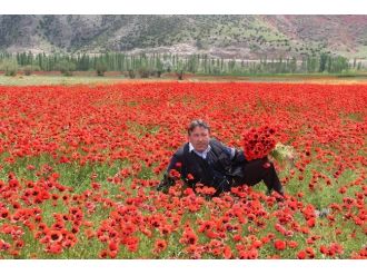 Oltu’da Gelinciklerin Büyüleyici Güzelliği