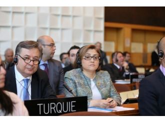 Fatma Şahin, Unesco’da Gaziantep’in Kaçırılan Tarihi Eserlerini Anlattı