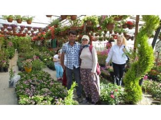 Burhaniye’de Kışın Sert Geçmesi Çiçekçilerin İşini Arttırdı