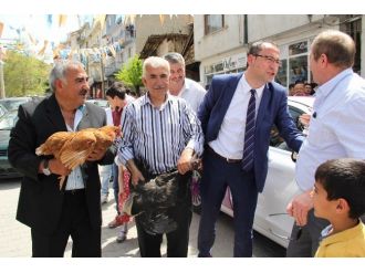 Gelin Arabasının Şoförü, Damattan Tavuk Ve Horoz İstedi
