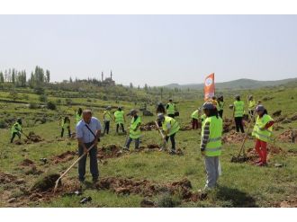 Talas’ta Bir Cana 10 Fidan Projesi