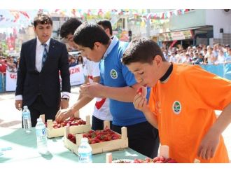 Sason’da 19 Mayıs Kutlamalarına Yerli Çilek Yarışması Eklendi