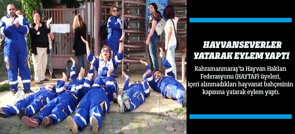 Hayvanseverler Yatarak Eylem Yaptı  