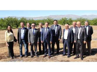 24 Yeni Ürün Çeşidi Meyvelerini Veriyor