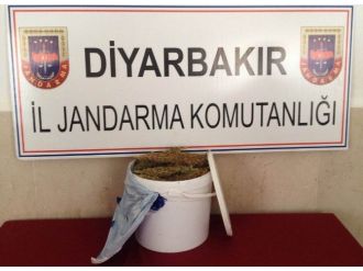 Diyarbakır’da 9 Kilogram Esrar Ele Geçirildi