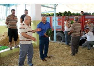 Yılmaz: Karpuzda İthalat Darbesine Son Vereceğiz