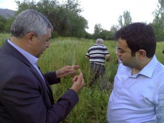 Bucak’ta Kültür Salebi Yetiştiriciliği Hayata Geçiyor