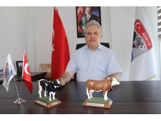 “Süt Her Yaşta Tüketilmesi Gereken Önemli Bir Besindir”