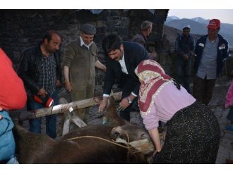 Seçim Çalışmasında İlk Müdahale