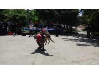 Jandarmanın Eğitimli Köpekleri Hiper Ve Çakır’ın Gösterileri İlgi Çekti