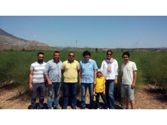 Türkiye’nin Tek Ticari ‘Kuşkonmaz’ı Eskişehir’de Yetiştiriliyor