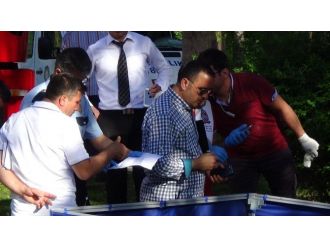 Ceset Ağaçtaki İpten Alınmak İstenirken Yere Düşürüldü