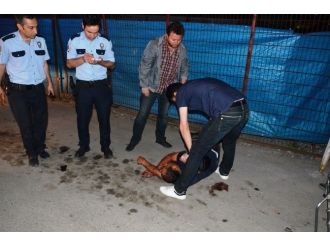 Malatya’da Bıçaklı Kavgada 5 Kişi Yaralandı