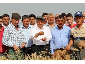 Yılmaz: Çiftçimizi Tüccarın İnsafına Bırakmayacağız