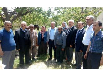 Şahin, “Ak Parti Bugüne Kadar Devasa Hizmetler Yaptı”